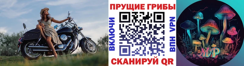 Галлюциногенные грибы MAGIC MUSHROOMS  Ядрин 